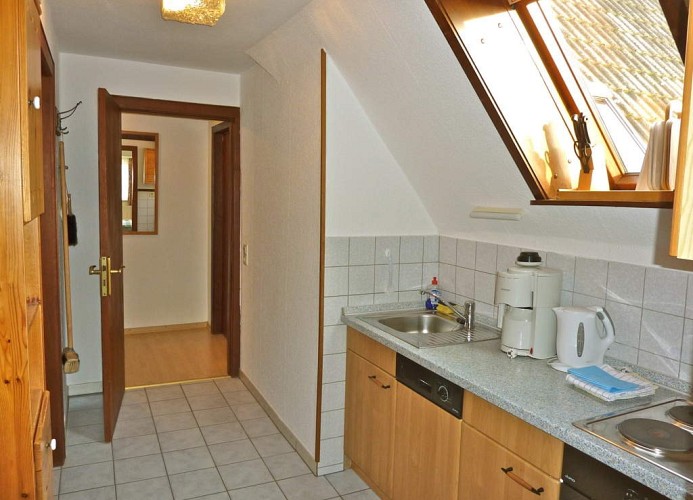Friedrichs 3
