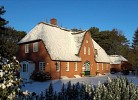 Eismöwe