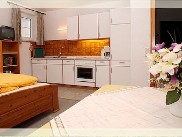 Heckenrose7- Keller rechts