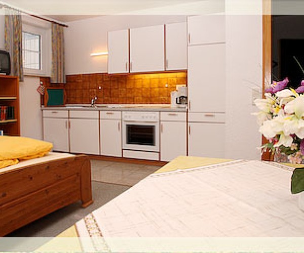 Heckenrose7- Keller rechts