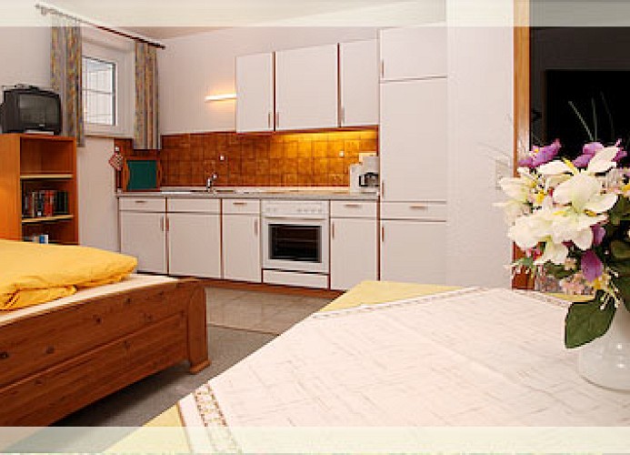 Heckenrose7- Keller rechts