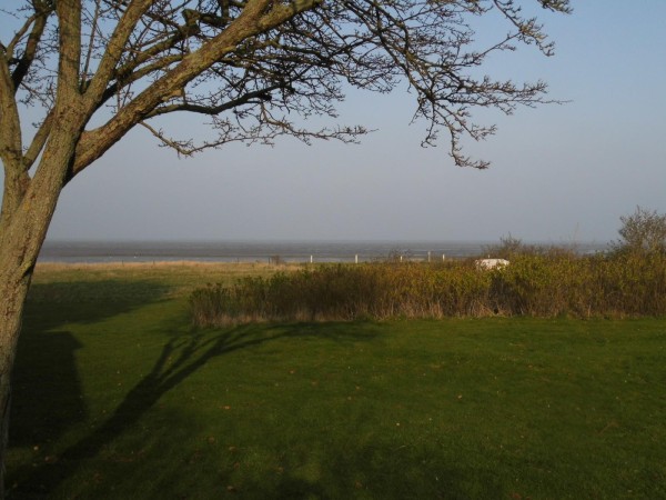 Terasse