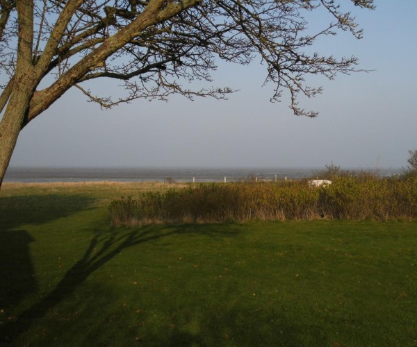 Terasse