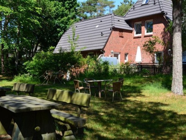 Silbermöwen