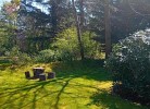 Garten hinter dem Haus