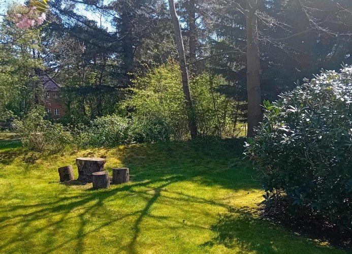 Garten hinter dem Haus