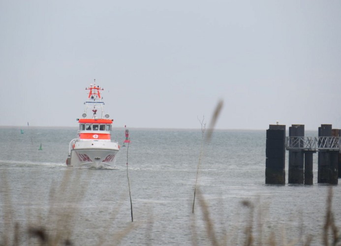Heckenrose 5  EG rechts