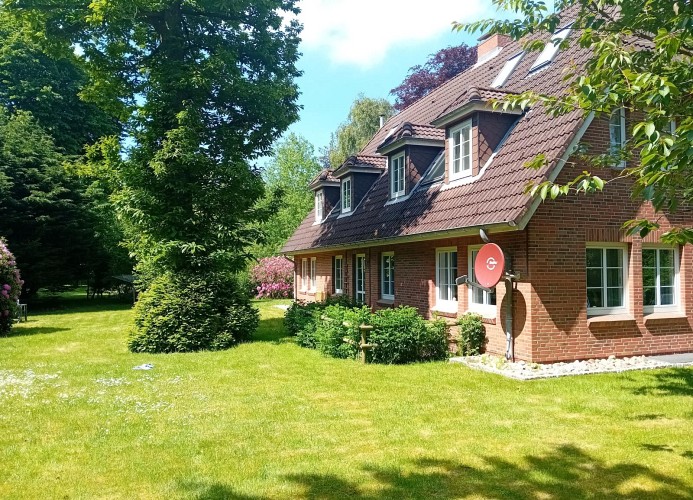 Garten hinter dem Haus