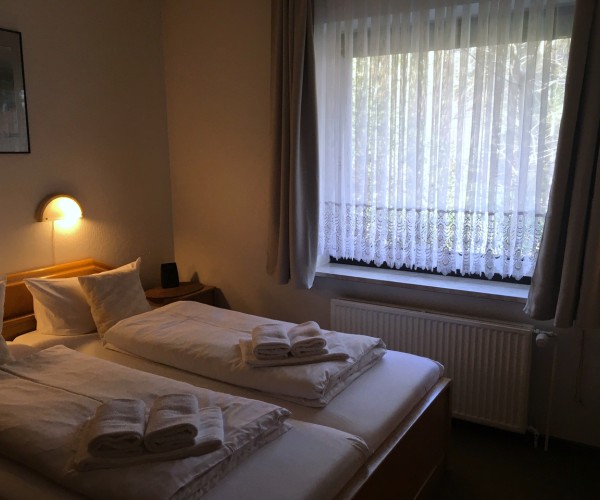Schwertlilie