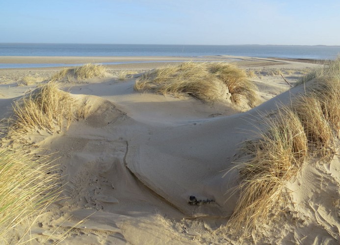 Dünen am Strand
