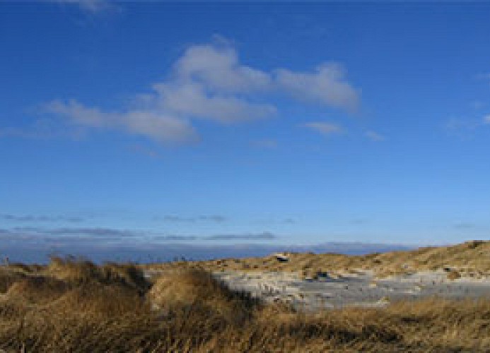 Dünenlandschaft