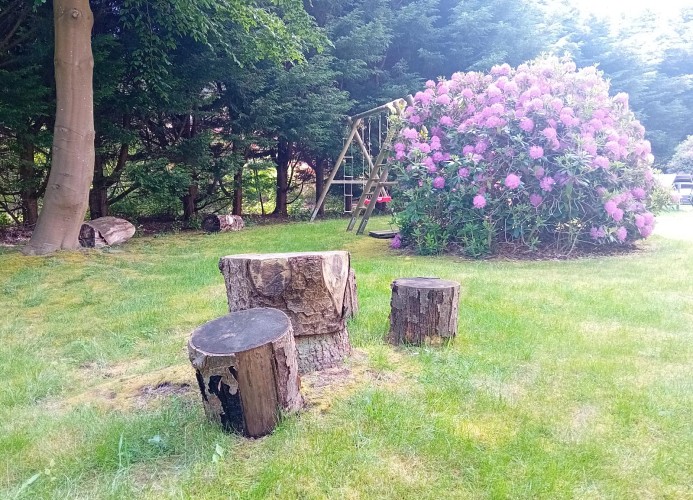 Garten hinter dem Haus