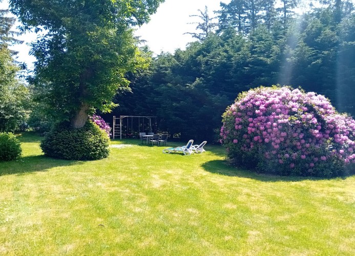 Wiese hinter dem Haus