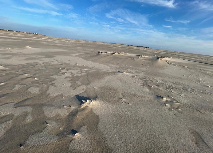 Kniepsand Sommer