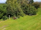 Gemeinschaftsgarten