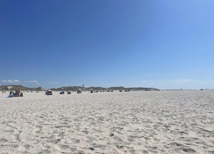 Strand
