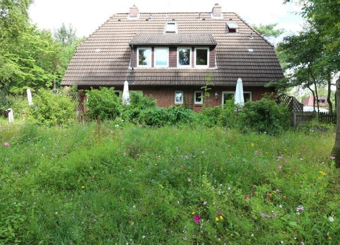 Haus
