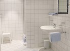 Hark-Olufs Hüs Skua