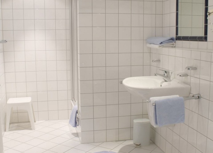 Hark-Olufs Hüs Skua