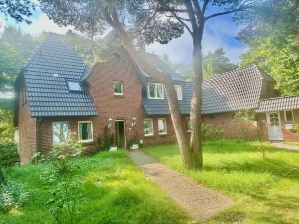 Silbermöwen