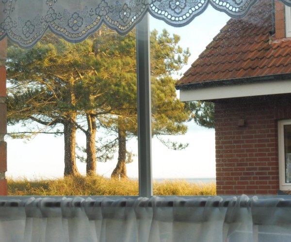 Muschel