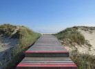 Friedrichs 2