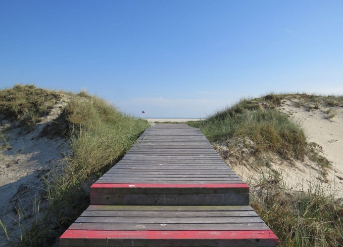 Friedrichs 2