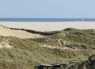 Friedrichs 2