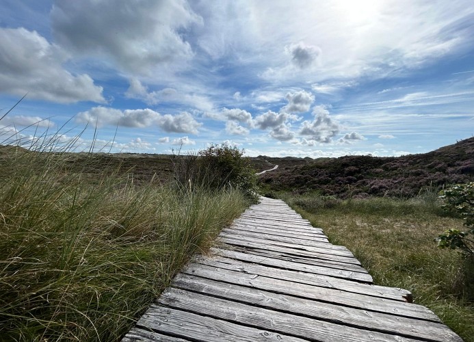 Bohlenweg Heide Himmel