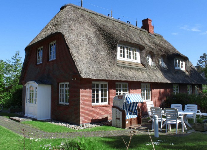 Eismöwe