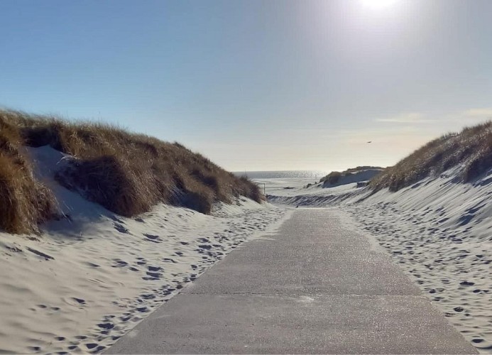 Strand in Nebel
