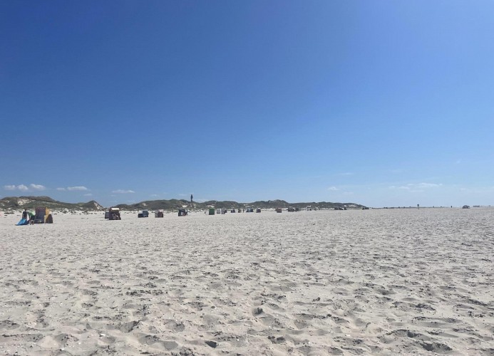 Strand
