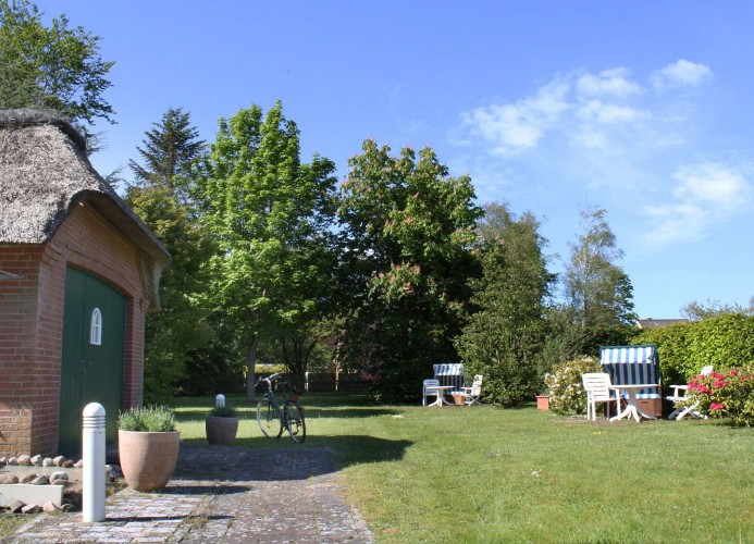 Lachmöwe