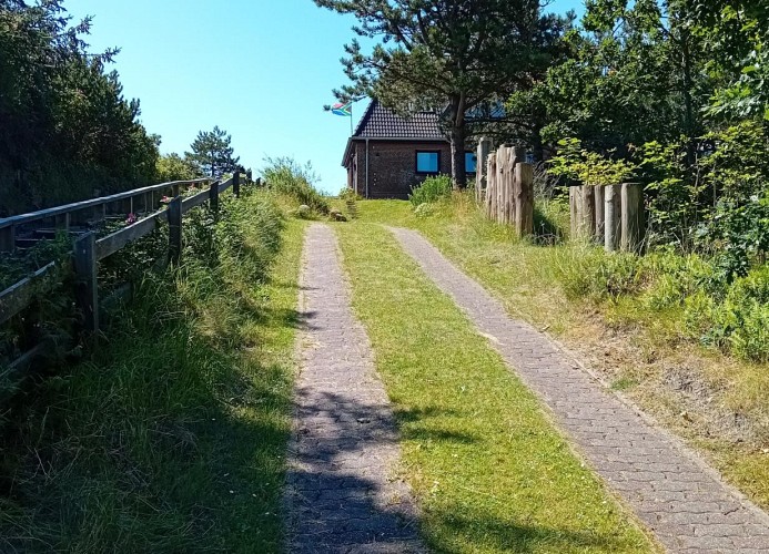 Autoauffahrt