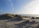 Friedrichs 2