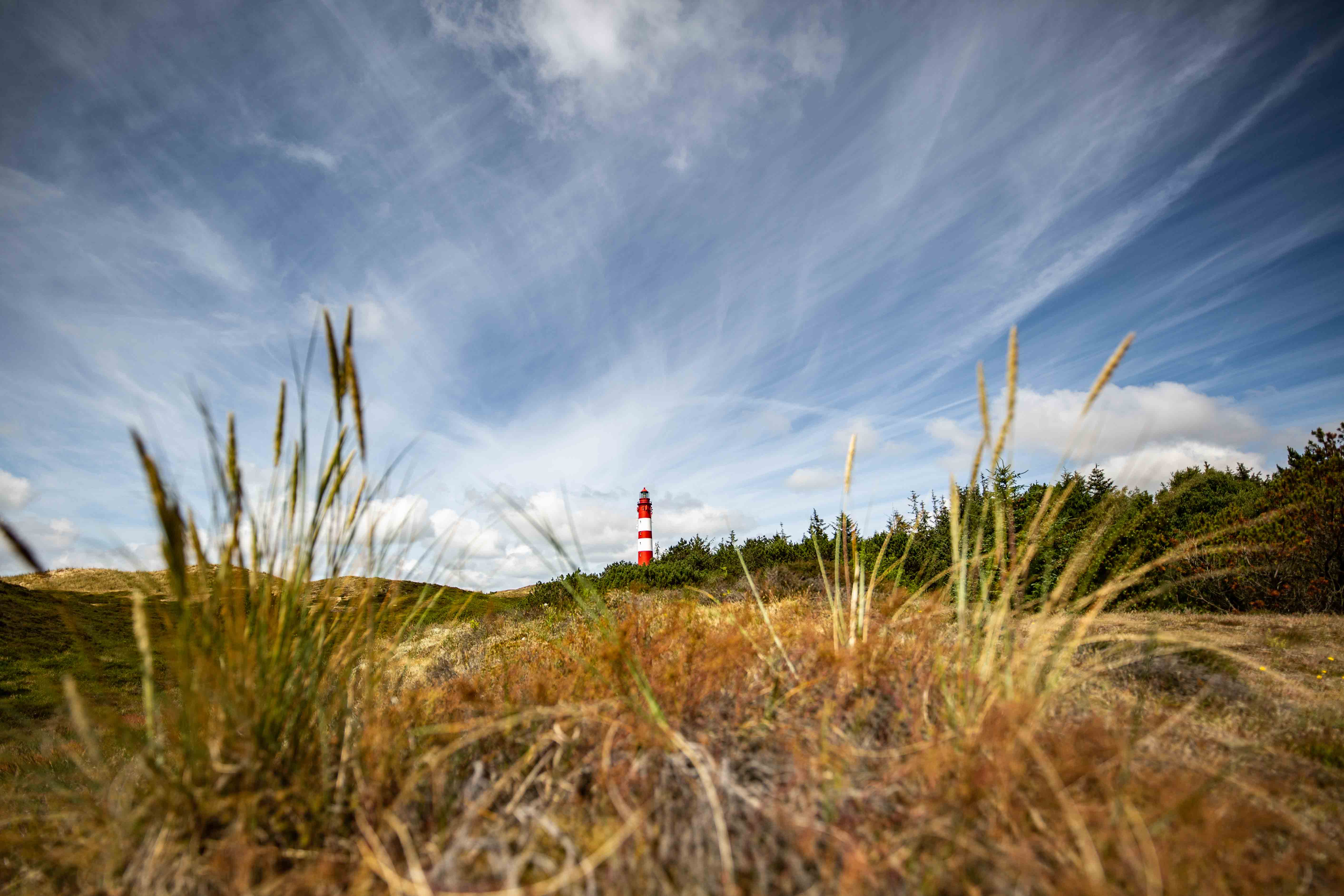 blick-nach-sylt.jpg